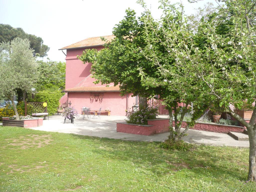 Il Baffetto B&B Roma Eksteriør bilde